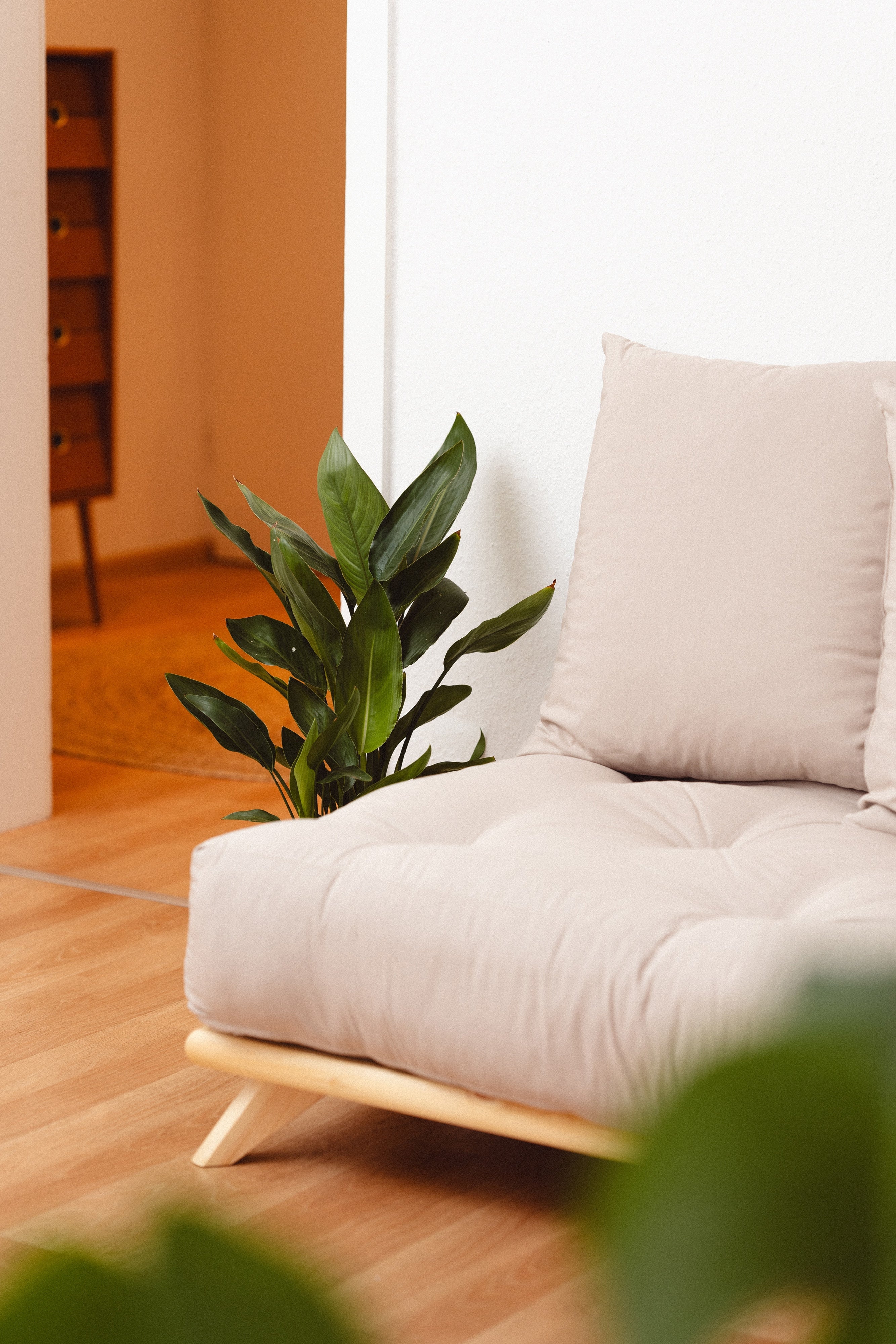 SENZA DAYBED CLAQUÉE TRANSPARENT AVEC ENSEMBLE MATELAS SENZA DAYBED GRIS
